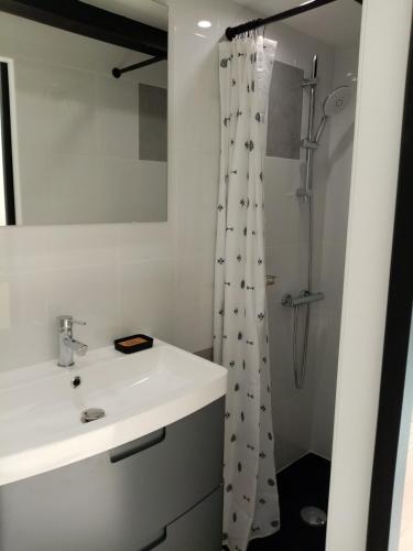 Fürdőszoba, Studio de Charme neuf à la Montagne (Studio de Charme neuf a la Montagne) in Puget-Rostang