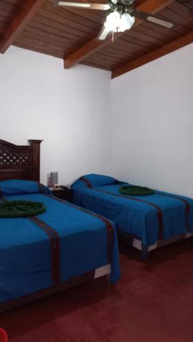 Hospedaje el Viajero Antigua ll, Antigua Guatemala (foto 9)