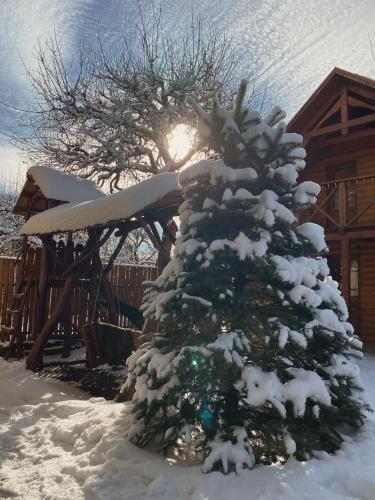 Viesnīcas āriene, Вілла де Кампо in Chynadiiovo