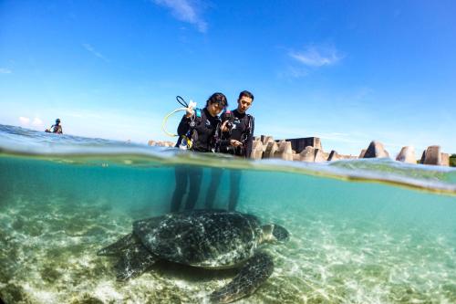 Stay Liuqiu Diving Hostel