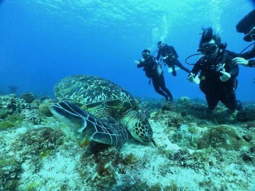 Stay Liuqiu Diving Hostel