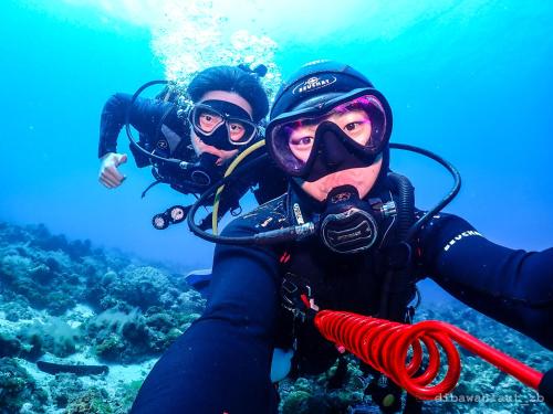 Stay Liuqiu Diving Hostel