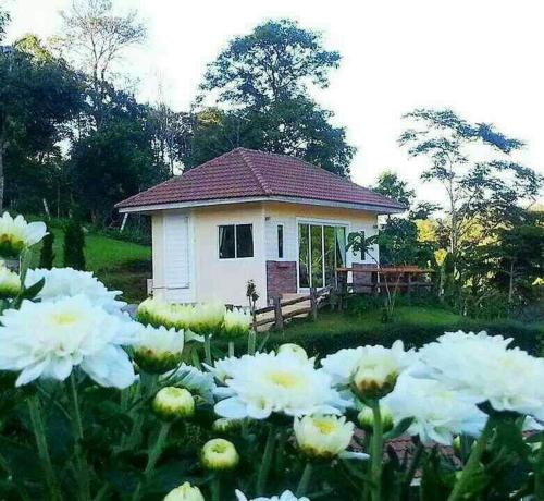 theroadview resort