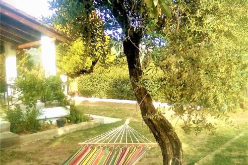  AGRIKIA IN EVIA in Amarinthos