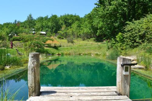 Luxury safari hideaway with idyllic natural pool gîte à louer Verfeil