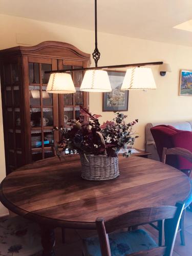  Familiar apartament situat Ainet de Cardós in Vall de Cardos