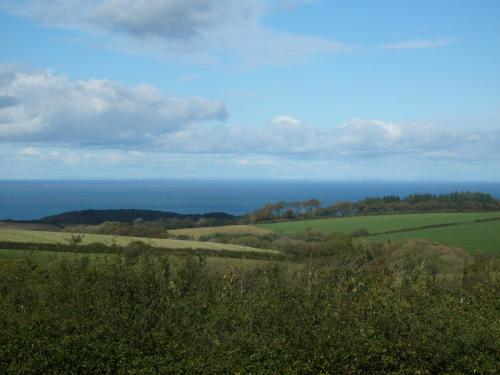 Southdown B&B - image 4