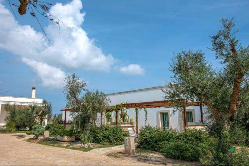 Casetta degli Ulivi