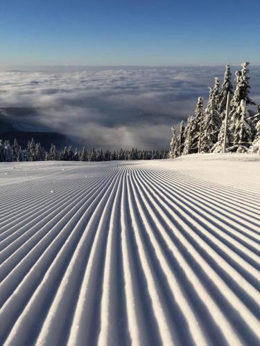 Studio Paula in Rokytnice nad Jizerou