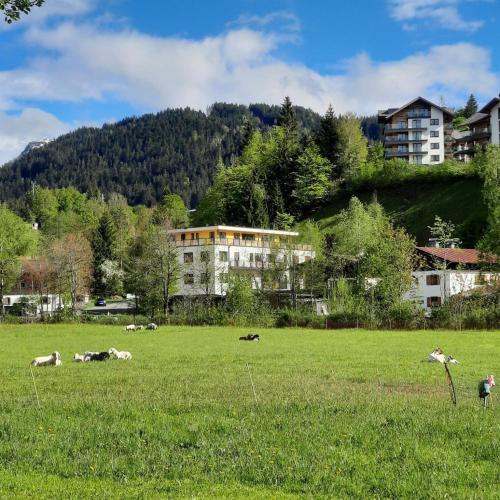 Boutique-Apartments Familie Jarosch Fieberbrunn "Freier Eintritt in das örtliche Hallenbad inklusive Saunalandschaft oder zum Badesee" in Fieberbrunn, Österreich
