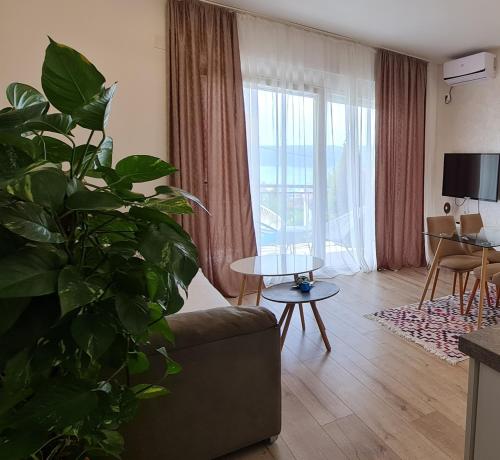Apartments Tivat - image 3
