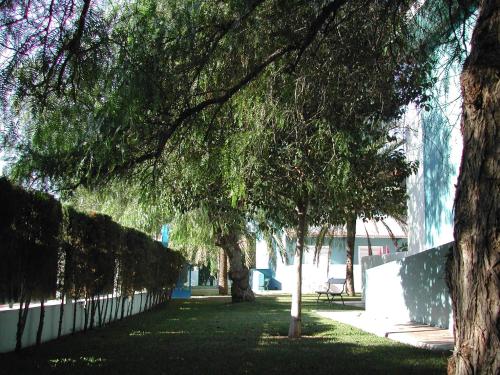 Del Mar Hotel & Spa - image 4