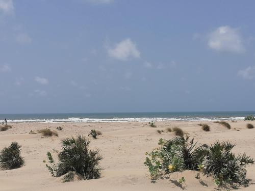 Beautiful 2 bedroom Home- Beach & 2 large Pools