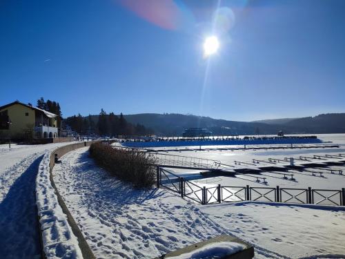 Bakarloko Lipno Apartments