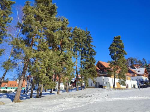 Bakarloko Lipno Apartments