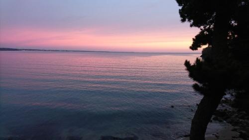 Logis Hotel Belle-Vue - image 5