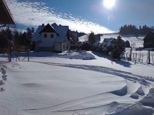 Winnica Spisz - image 4