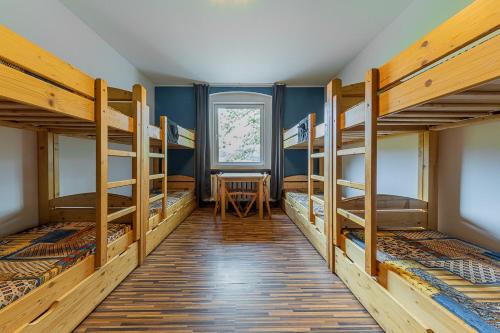 Bunk Bed in Mixed Dormitory Room