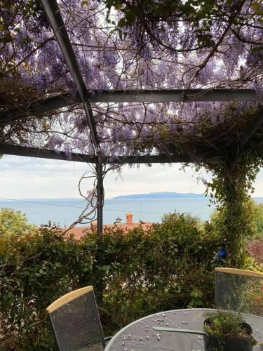 Kvarner Vista Apartment Hana in Ičići