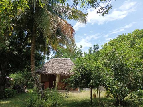 Dārzs, Onja Surf Camp in Mahambo