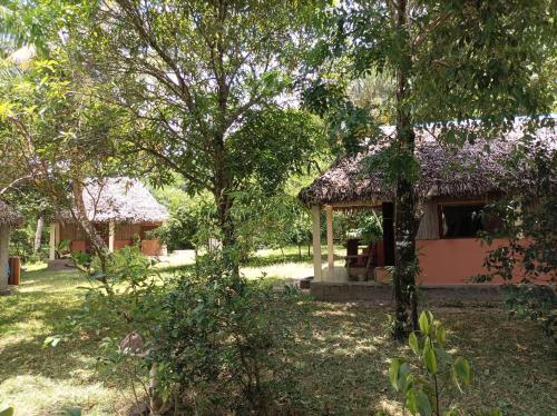 Dārzs, Onja Surf Camp in Mahambo