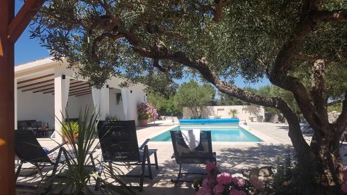 Stone Villa Olea - Holiday house in olive grove