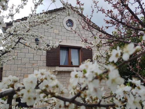 Stone Villa Olea - Holiday house in olive grove