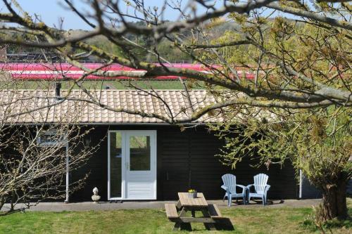 B&B Egmond aan den Hoef - Chalet Egmond - Bed and Breakfast Egmond aan den Hoef