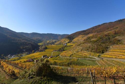 Weingut Piewald