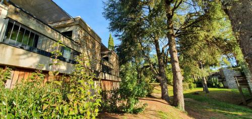 One-Bedroom Apartment with Sleeping Alcove (4 Adults)