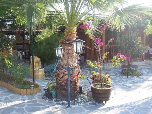 Sirines Studios in Skala Prinos