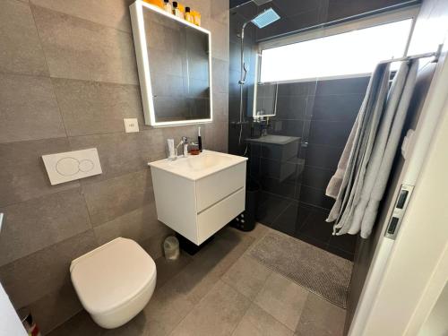 Appartement de standing lumineux a Plan les Ouates