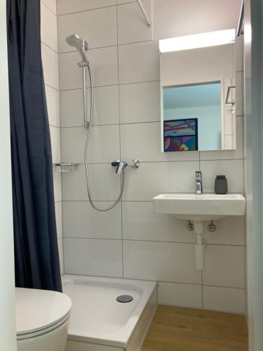 Furnished studio with garden Seefeld close to lake, Zürich (Foto 5)