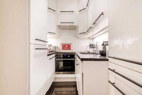 Classy and spacious one bedroom flat in amazing location, London (photo 6)