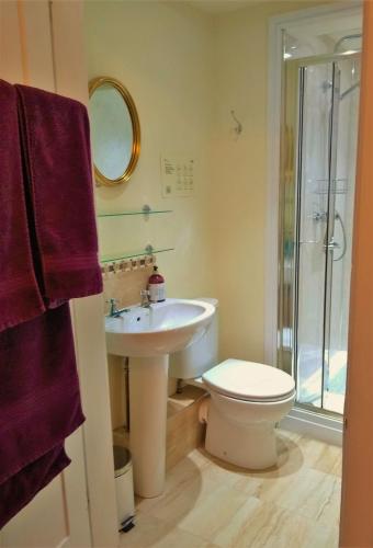 Green View Guest House - image 13