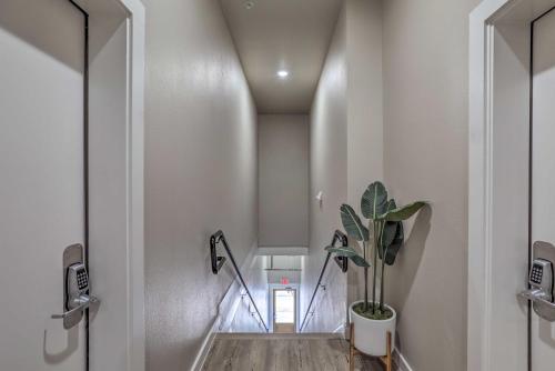 Sleek, Newly Updated Downtown San Marcos Apt!