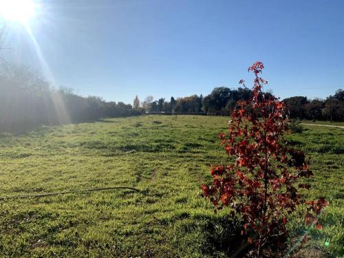 Villa Viñedo - Agradable Villa Rústica con Jardín