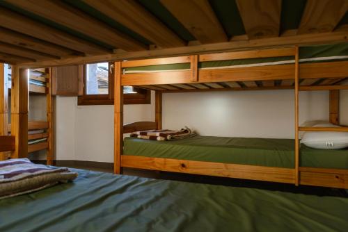 Bunk Bed in Mixed Dormitory Room