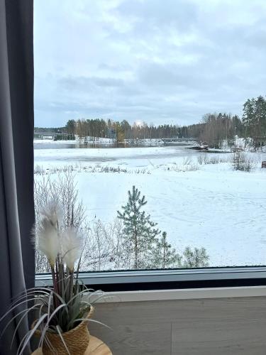 Glass Igloos by the water - Lasisviitit