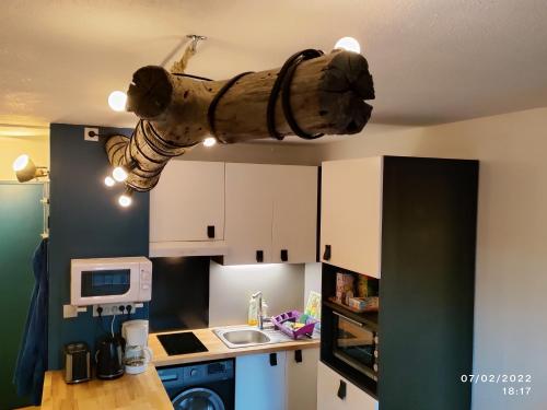 厨房, studio Seignosse Océan (plages et commerces à pied) (studio Seignosse Ocean (plages et commerces a pied)) in 塞纽斯