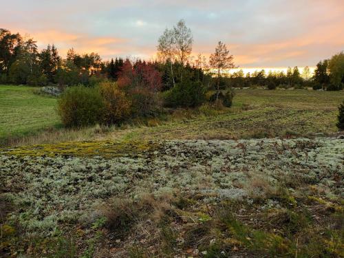 Glamping Kotitila Kiveinen