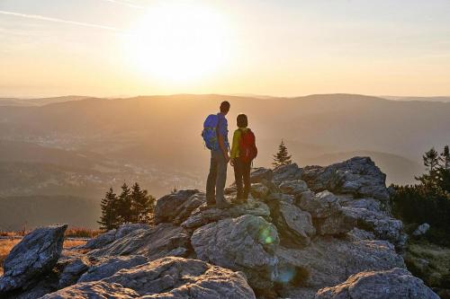 Holiday flats Am Weberfeld Bodenmais - DMG04101a-CYC - image 14