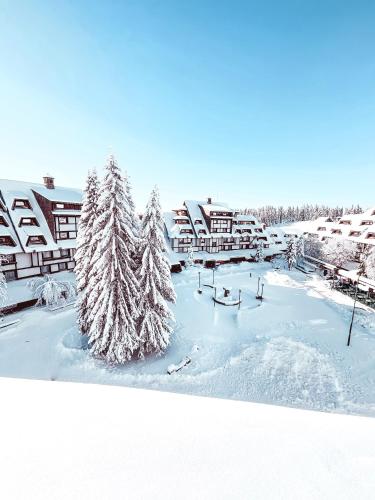 Apartments Suncani Vrhovi Kopaonik Kopaonik