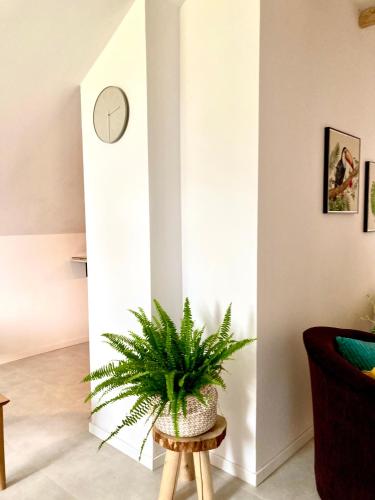 Apartament z Jaskółką piętro- duży 90 m2 plus taras (Apartament z Jaskolka pietro- duzy 90 m2 plus taras) in Smoldzino