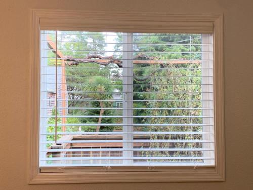 San Dune Inn Room Type - Studio with Garden View