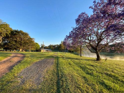 Stay at the Barn... Immerse yourself in nature.