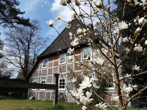 外部景觀, Schönes Apartment vor den Toren Hamburgs - keine Monteurwohnung (Schones Apartment vor den Toren Hamburgs - keine Monteurwohnung) in 阿森多夫