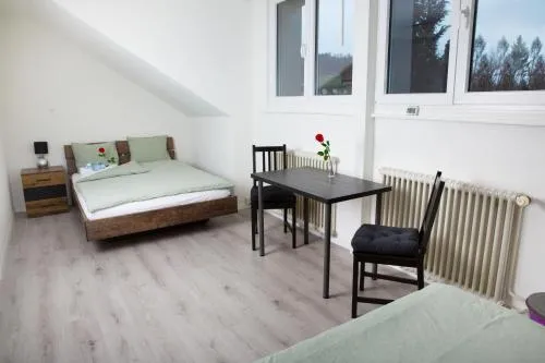 RUSTICO INN- Vintage Simple Rooms and Easy Parking direkt bei der OLMA nahe HSG und Spital in St. Gallen, Schweiz
