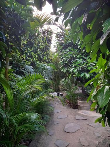 Garden, Littlefarm - Nam Cat Tien in Quan Tom