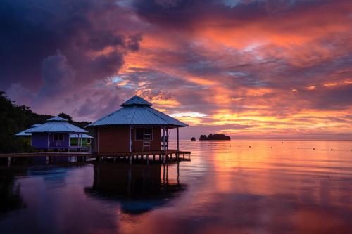 Mango Creek Lodge Roatan Island